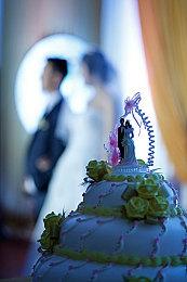 Xbox深粉手柄公布 今日海外发售、售价64.99刀